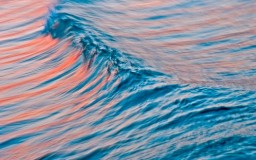 Yamuna Revitalization